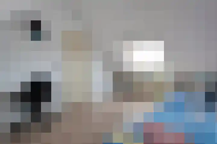 De Buizerd 17 Almelo thumbnail 20