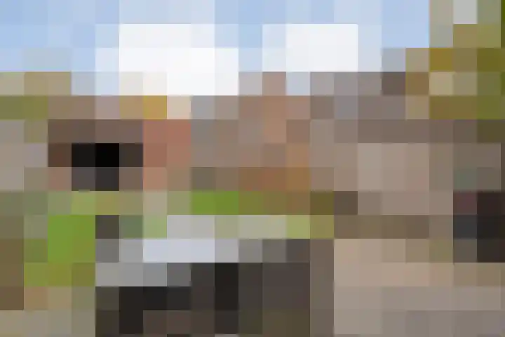 De Buizerd 17 Almelo thumbnail 21