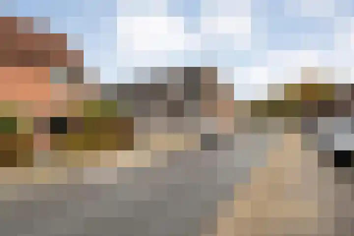 De Buizerd 17 Almelo thumbnail 26