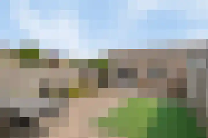 De Buizerd 17 Almelo thumbnail 4