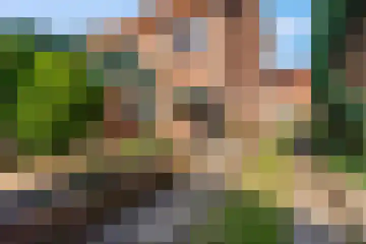 De Buizerd 17 Almelo thumbnail 7