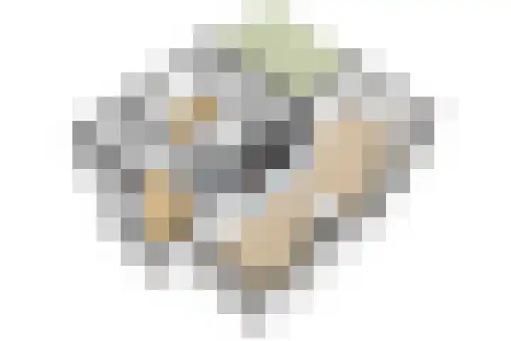 De Buizerd 17 Almelo thumbnail 8