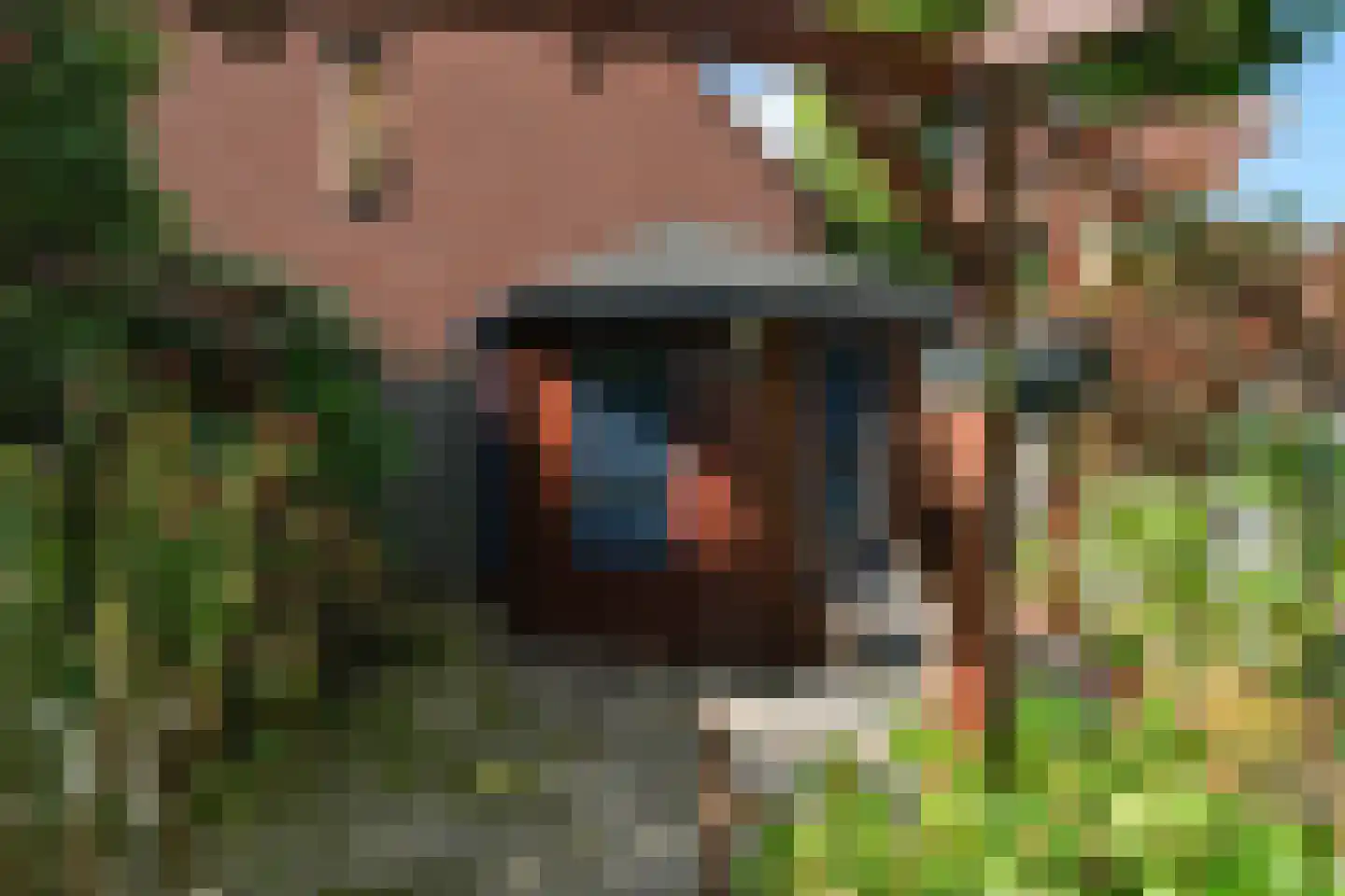 De Buizerd 3 Almelo thumbnail 22