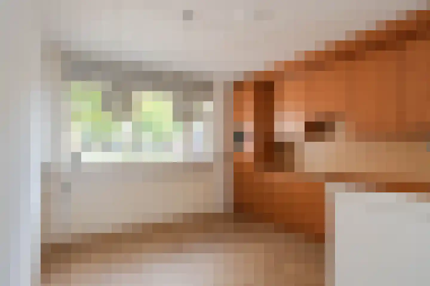 De Buizerd 3 Almelo thumbnail 7
