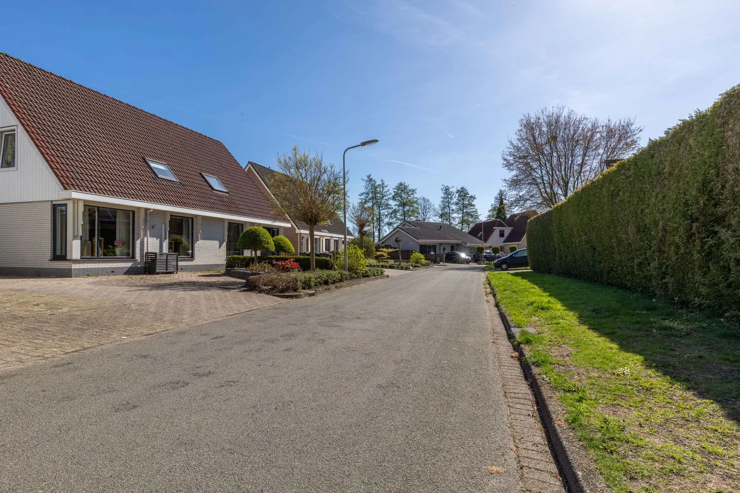 De Buizerd 32 Surhuisterveen thumbnail 49