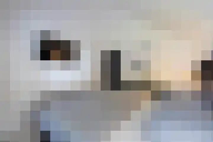 De Buizerd 85 Almelo thumbnail 16