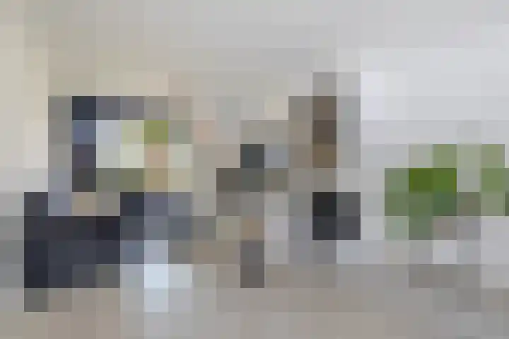 De Buizerd 85 Almelo thumbnail 5