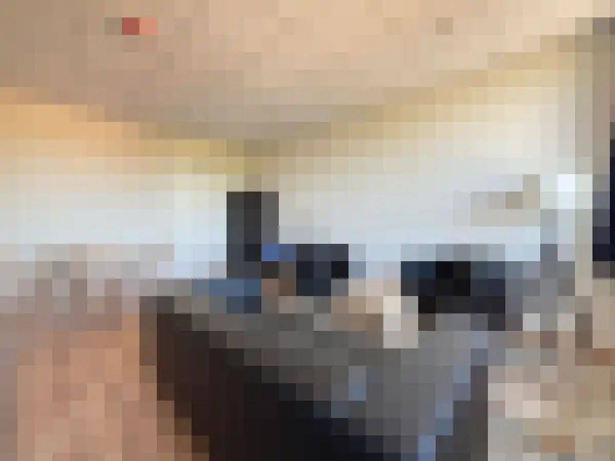 De Bukakkers 18 Emmen thumbnail 4