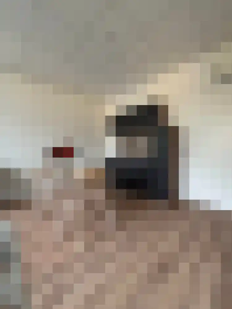 De Bukakkers 18 Emmen thumbnail 5