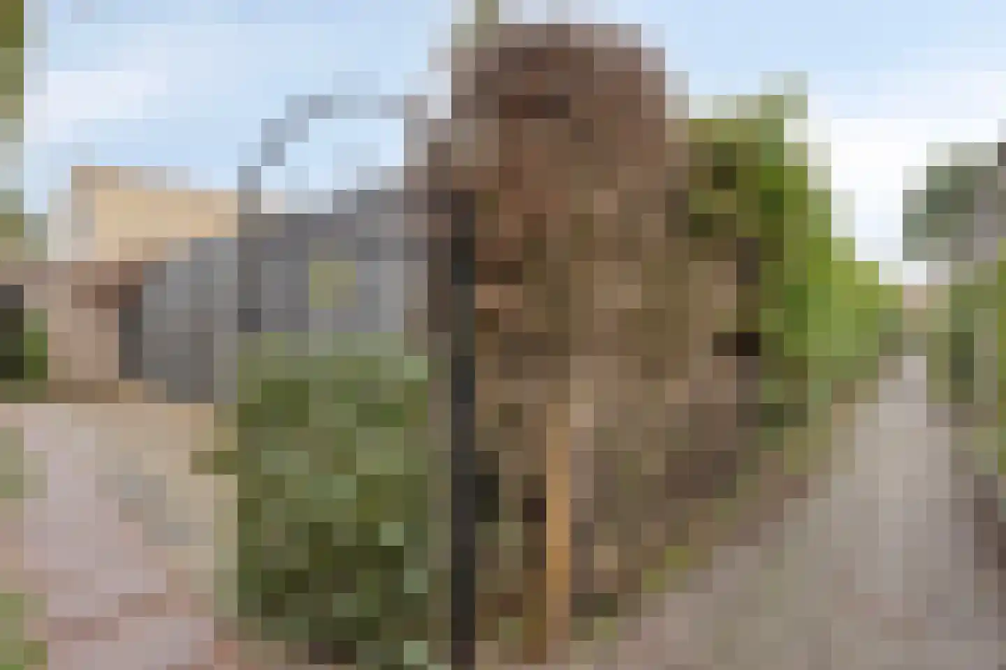 De Bullewei 6 Noordwijk thumbnail 6