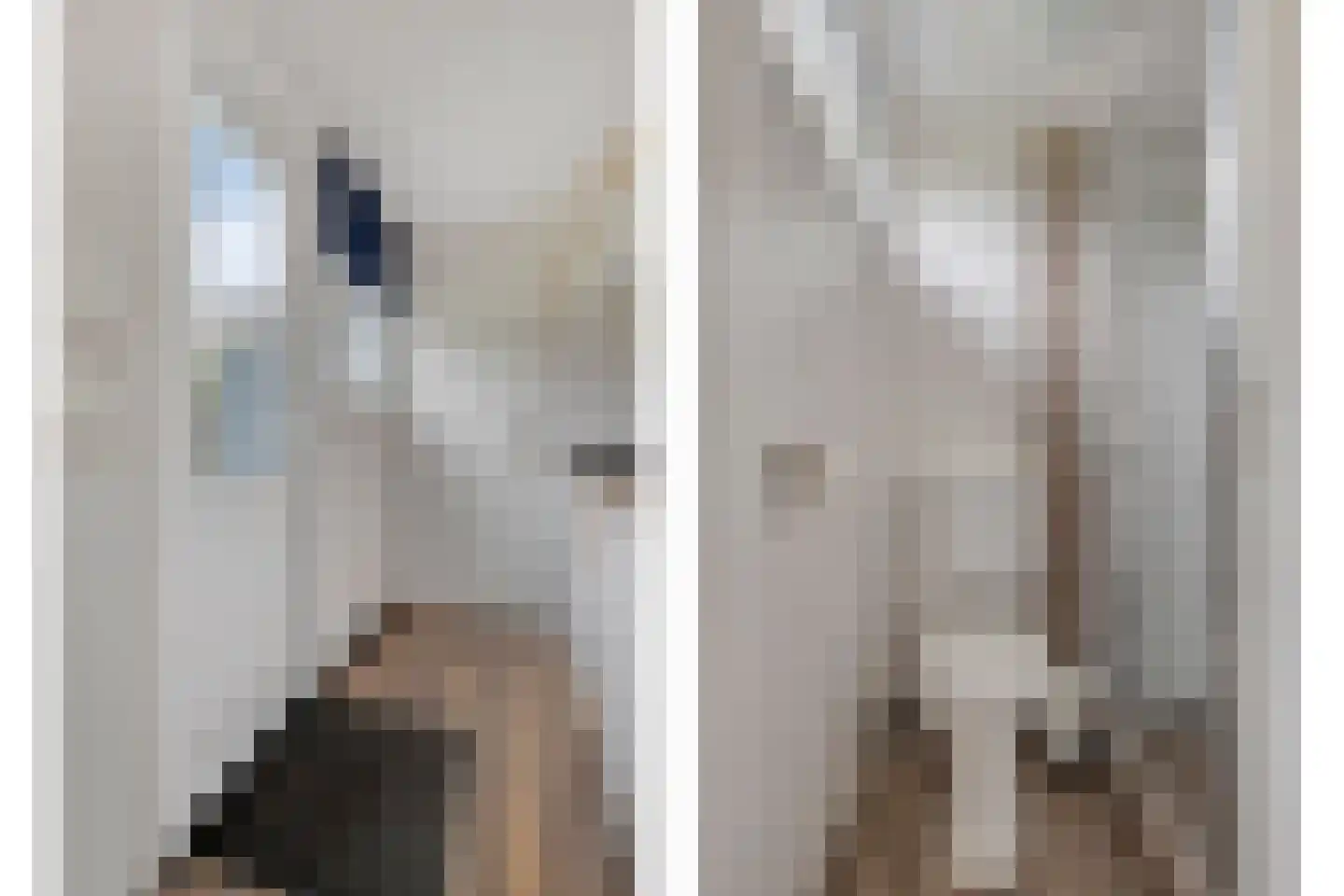 De Bullewei 8 Noordwijk thumbnail 10