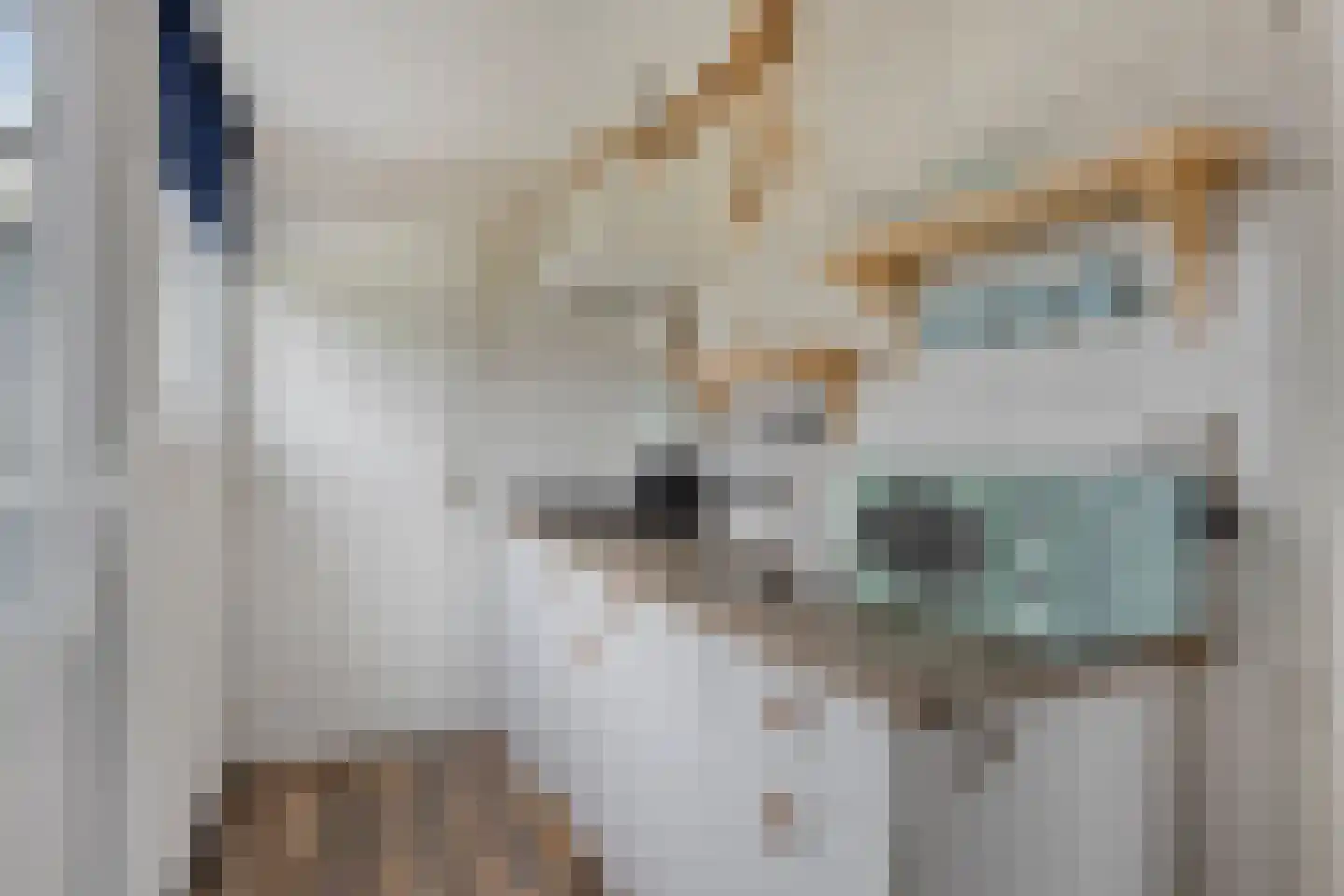 De Bullewei 8 Noordwijk thumbnail 12