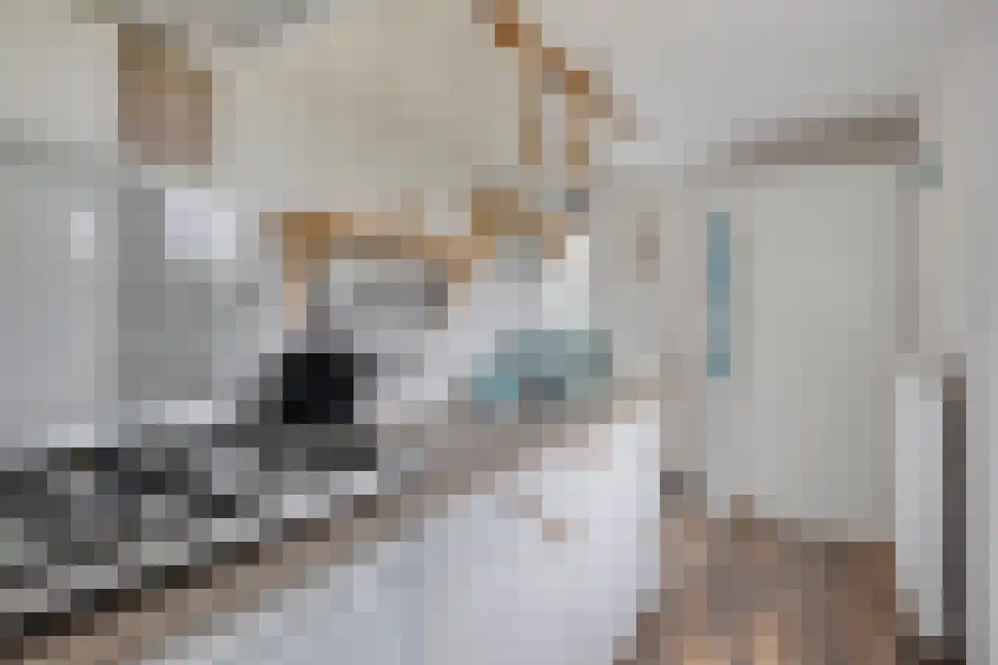 De Bullewei 8 Noordwijk thumbnail 13
