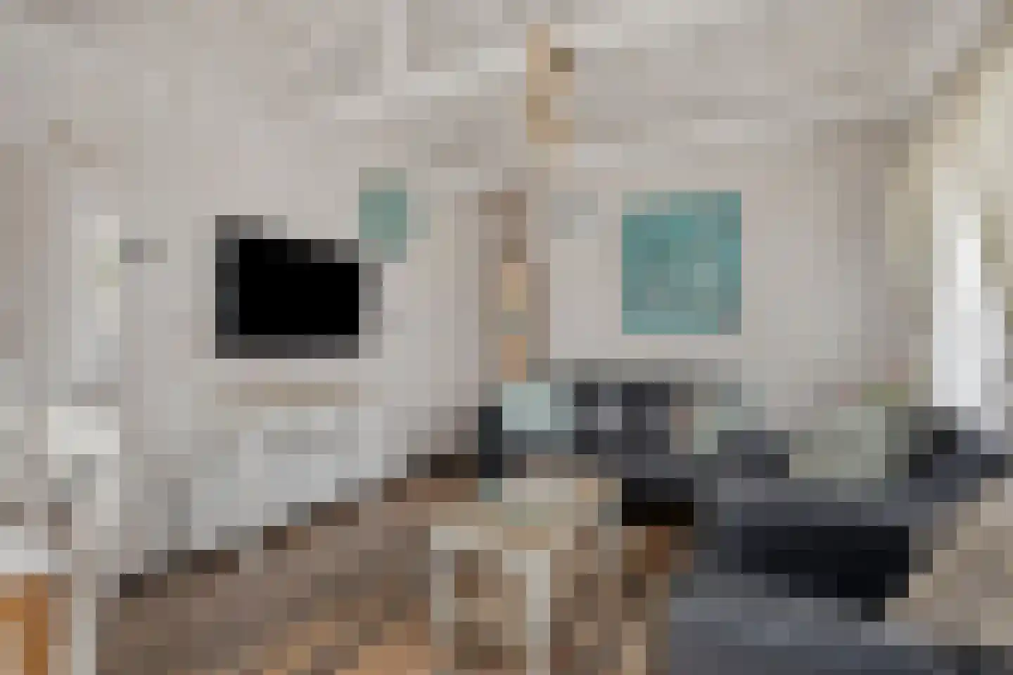 De Bullewei 8 Noordwijk thumbnail 15