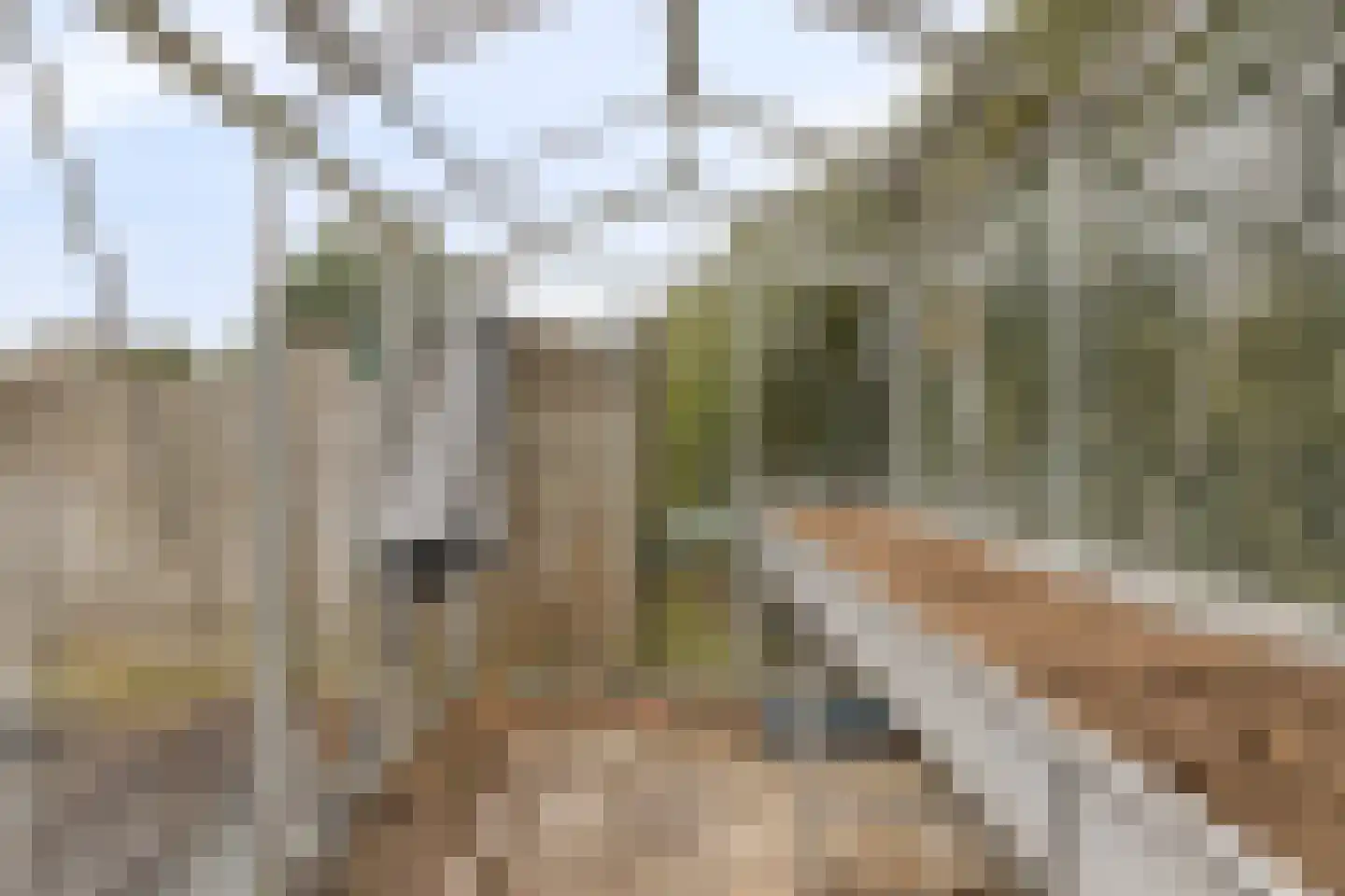 De Bullewei 8 Noordwijk thumbnail 31