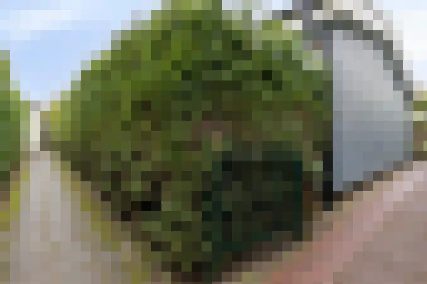 De Bullewei 8 Noordwijk thumbnail 5
