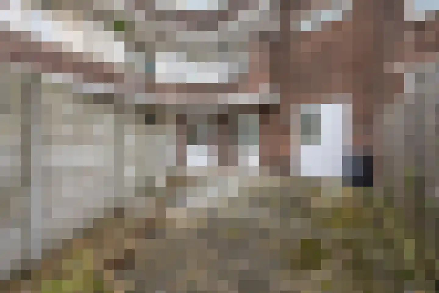 De Bullstraat 15 Den Haag thumbnail 6