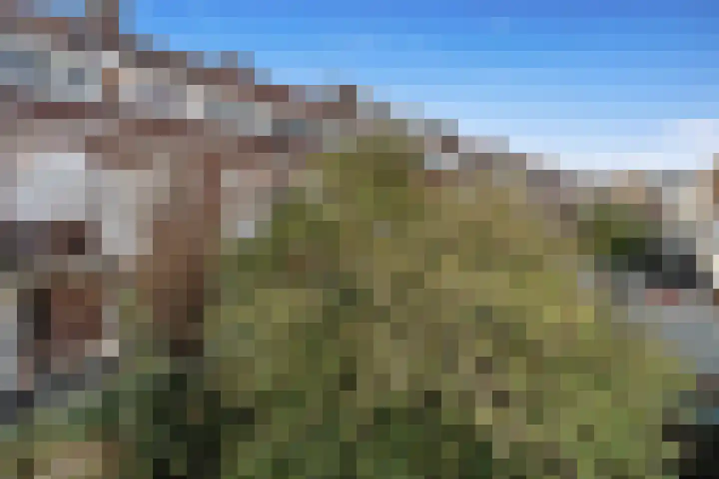 De Bullstraat 69 Den Haag thumbnail 13