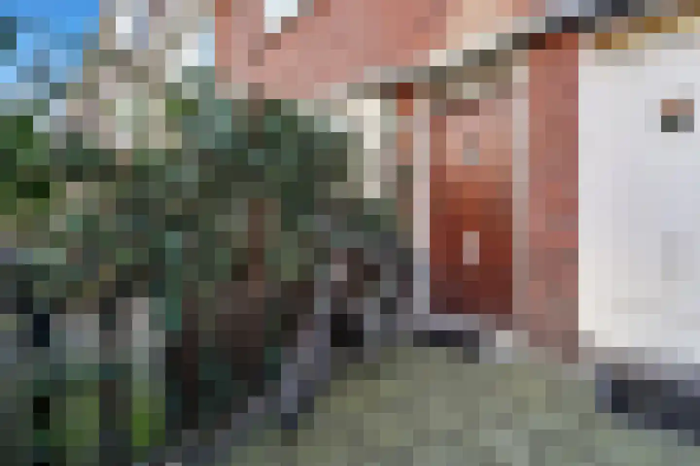 De Bullstraat 69 Den Haag thumbnail 5