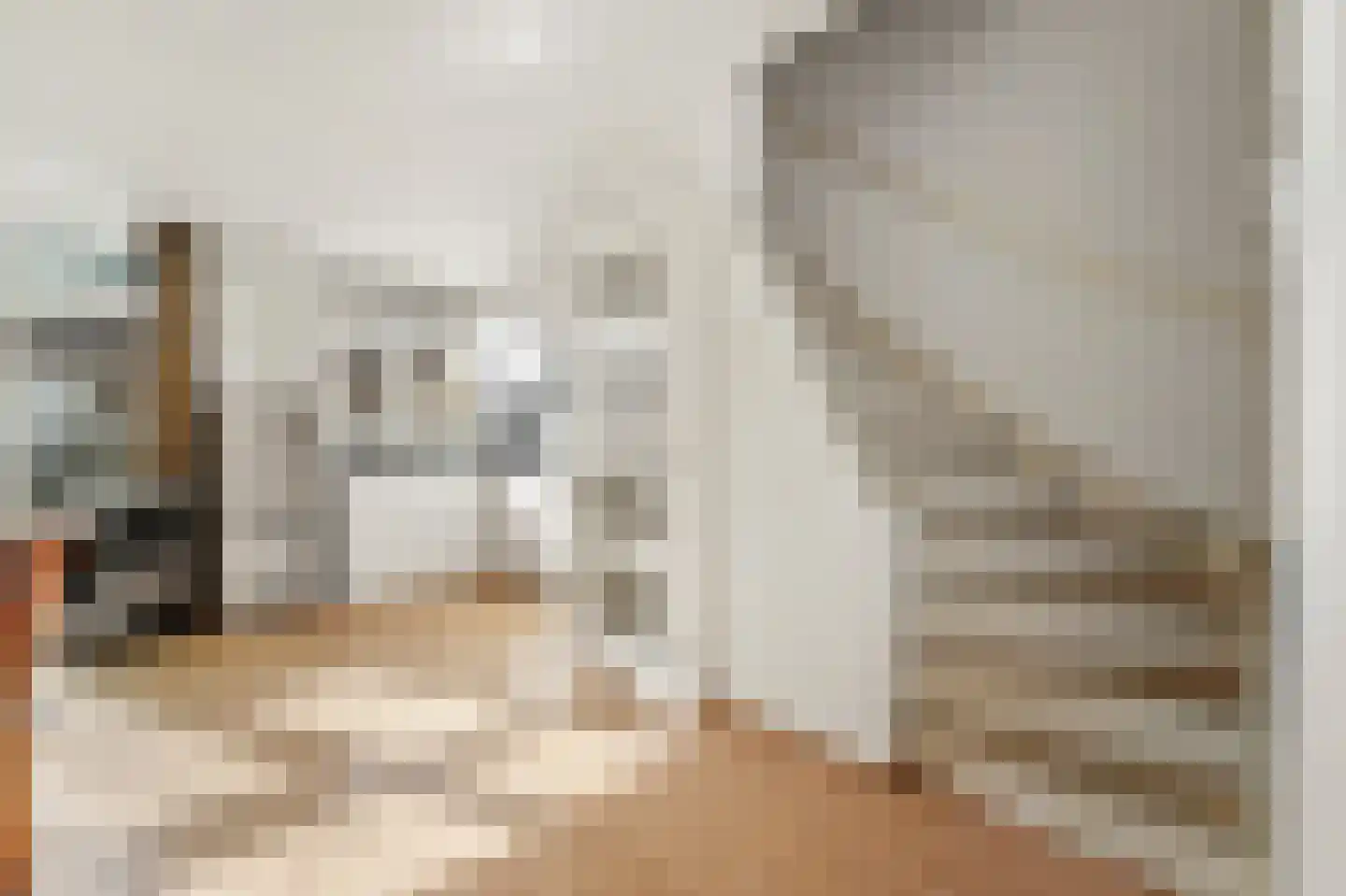 De Bullstraat 69 Den Haag thumbnail 7