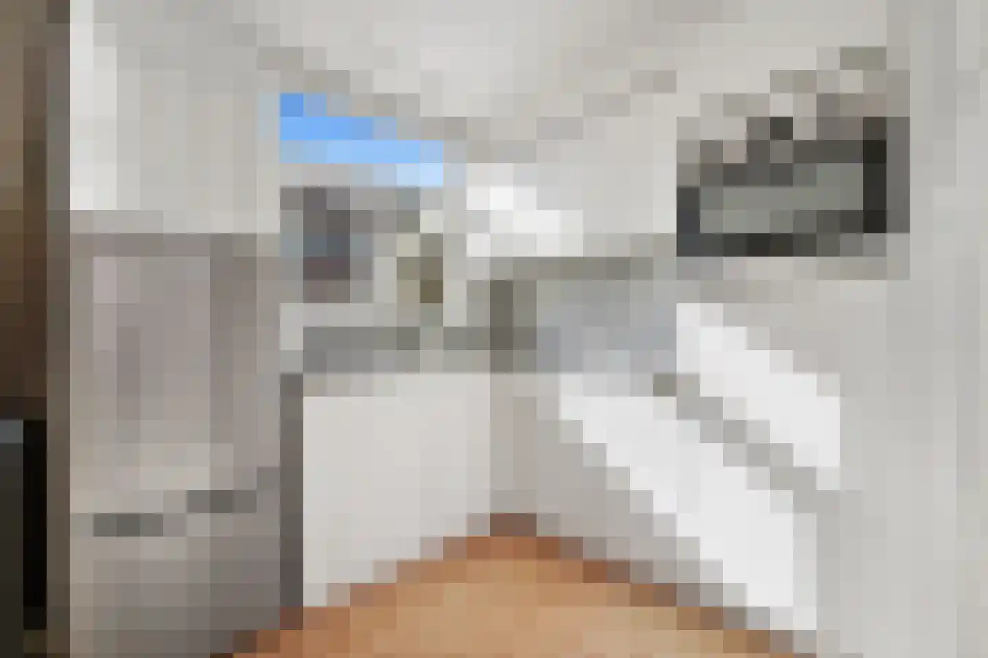 De Bullstraat 69 Den Haag thumbnail 9
