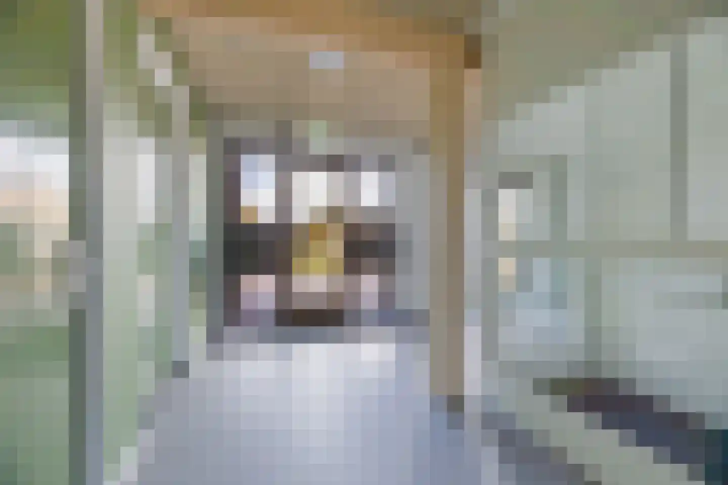 de Bulten 69 Wezep thumbnail 10