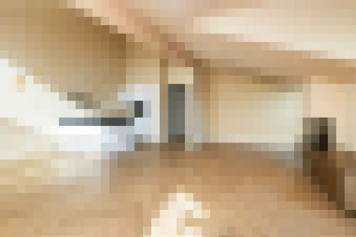 de Bulten 69 Wezep thumbnail 26