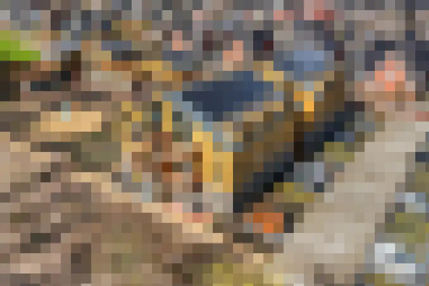 de Bulten 69 Wezep foto 3
