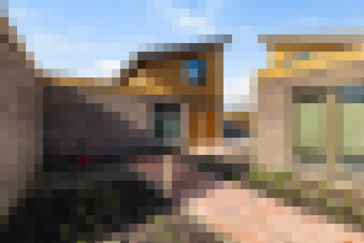 de Bulten 69 Wezep thumbnail 46