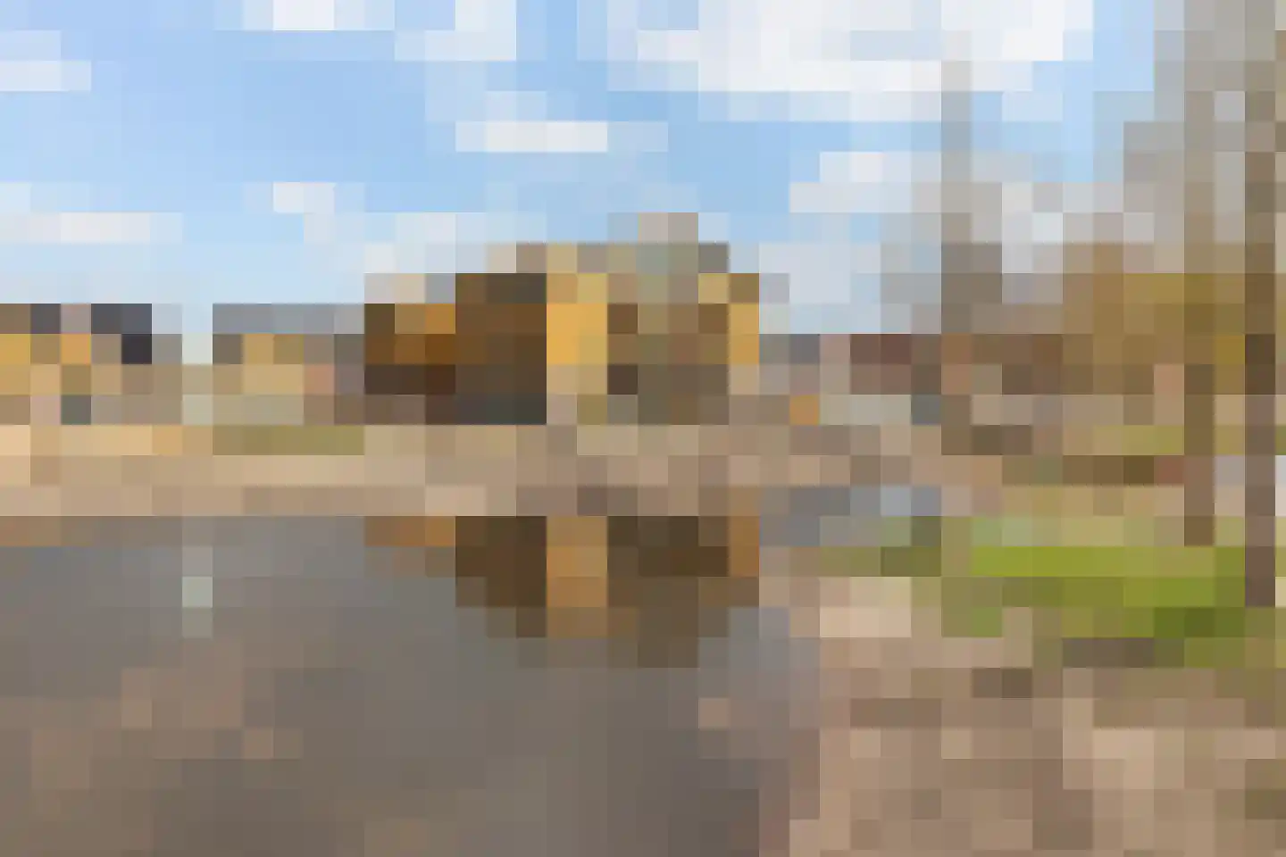 de Bulten 69 Wezep thumbnail 5