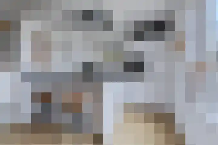 De Bunder 4 Oentsjerk thumbnail 14
