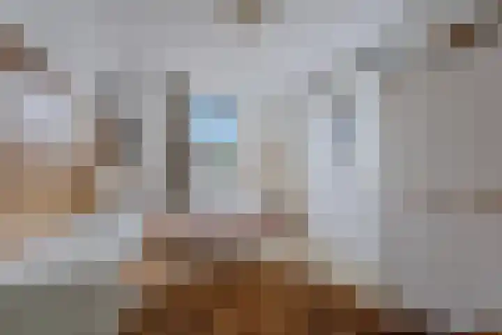 De Bunder 4 Oentsjerk thumbnail 19