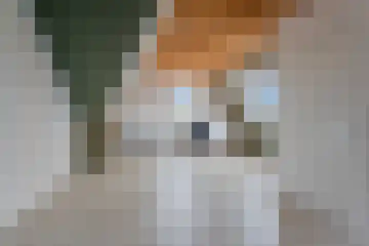 De Bunder 4 Oentsjerk thumbnail 25