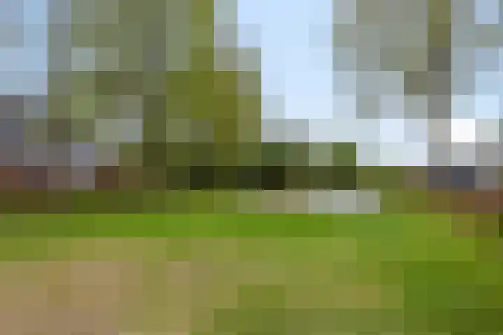De Bunder 4 Oentsjerk thumbnail 30