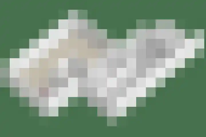 De Bunder 4 Oentsjerk thumbnail 40