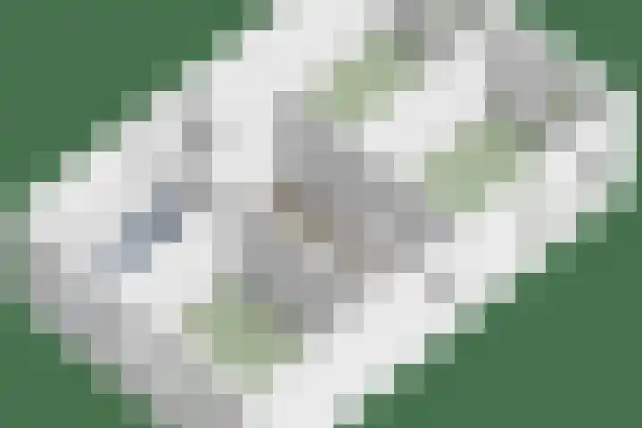 De Bunder 4 Oentsjerk thumbnail 41