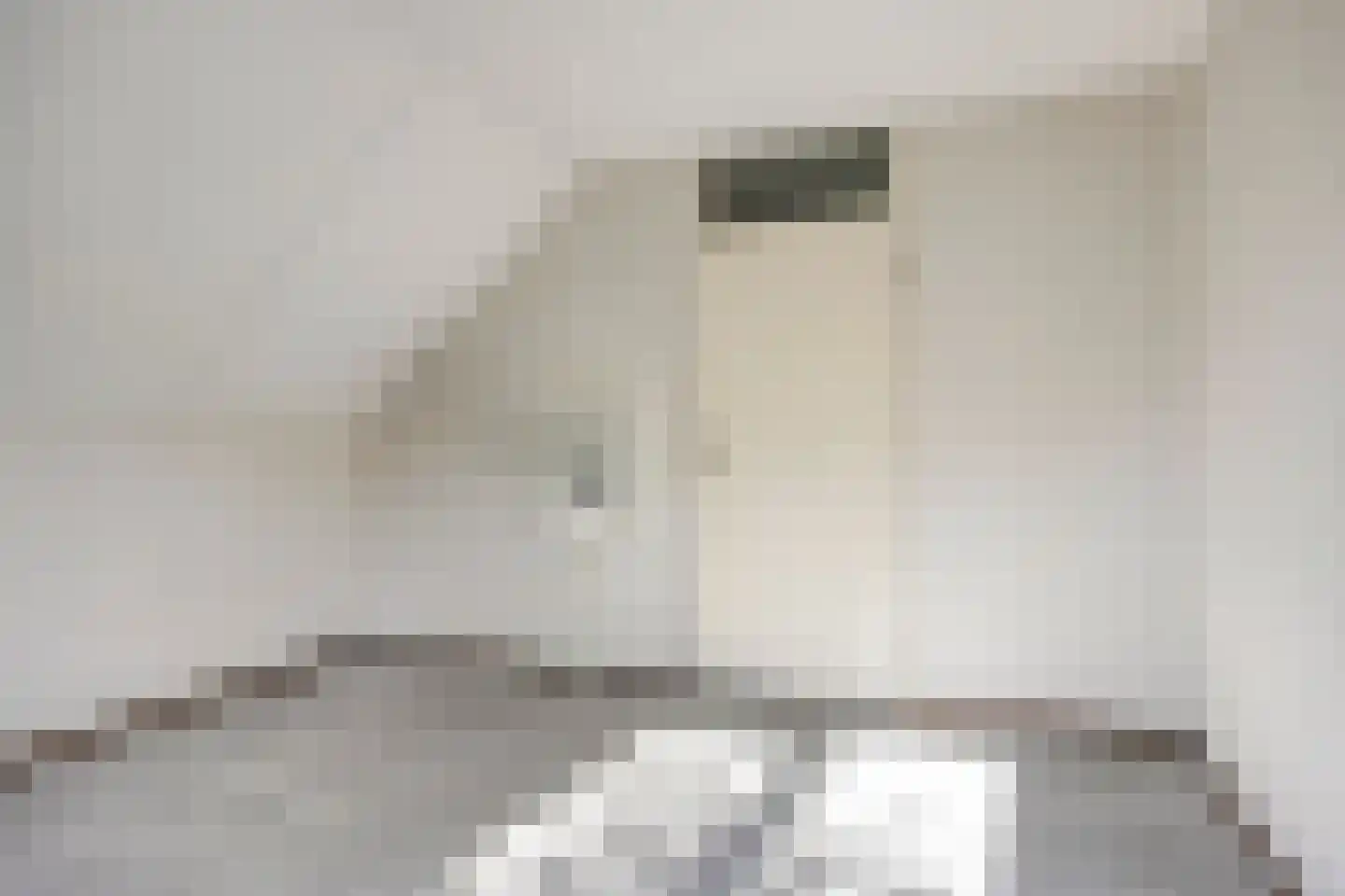De Bunder 9 Dronten thumbnail 24