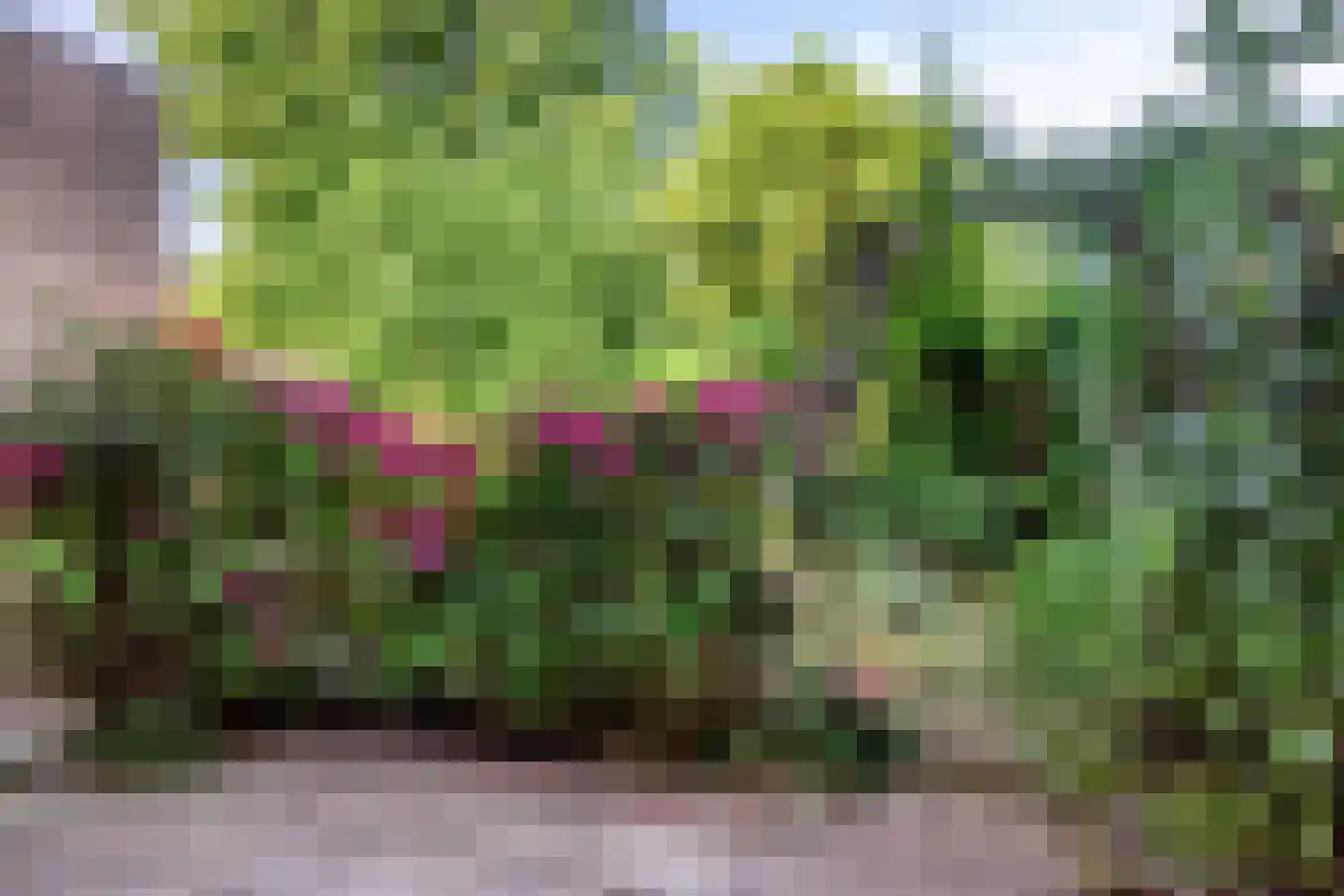 De Bunder 9 Dronten thumbnail 31