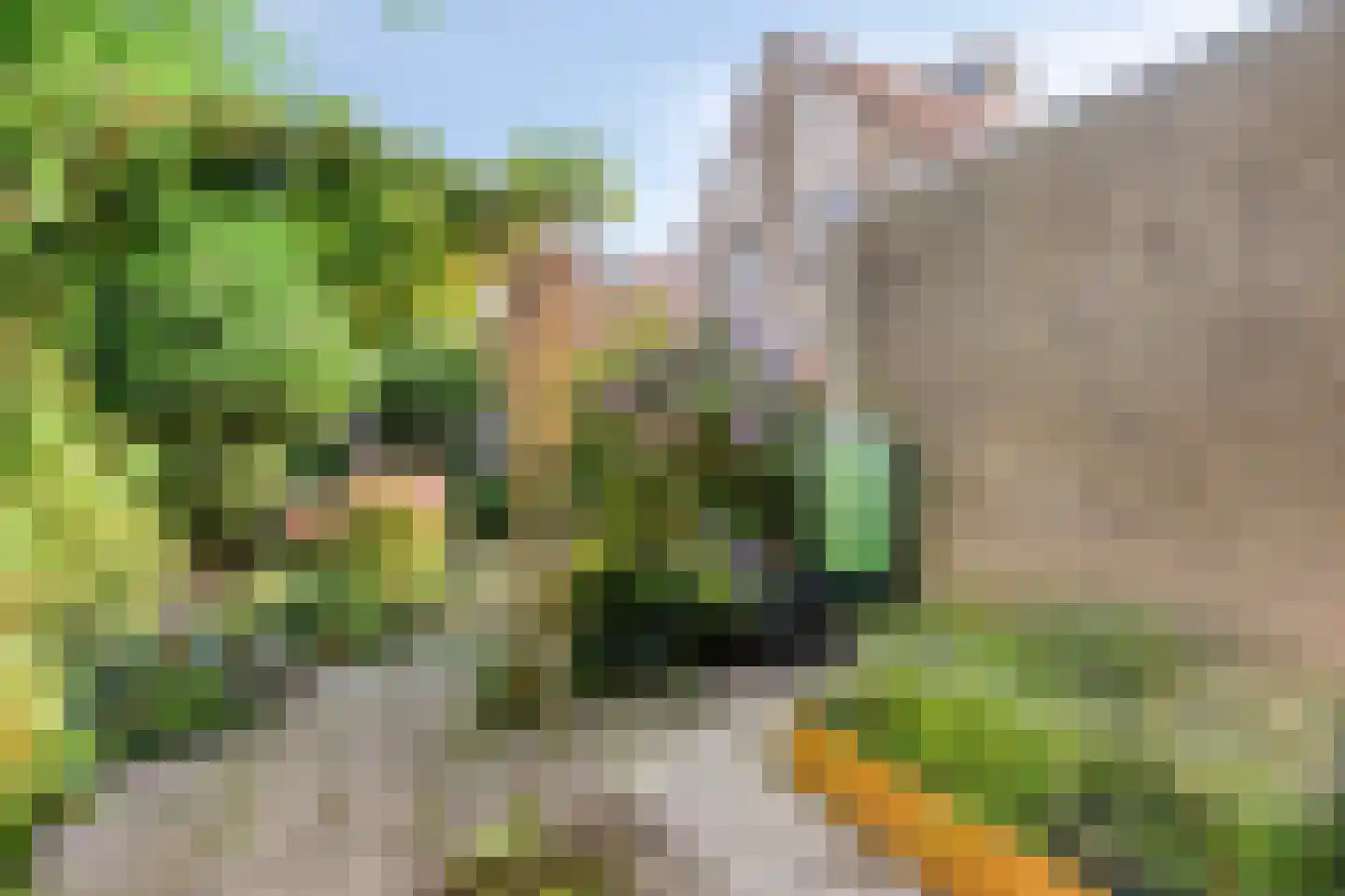 De Bunder 9 Dronten thumbnail 33
