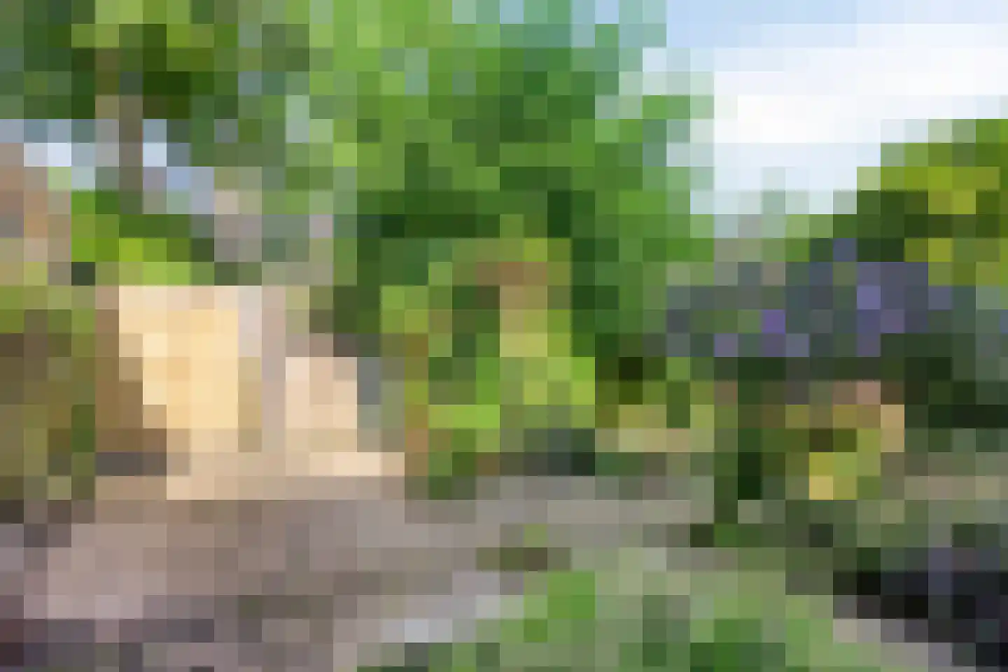 De Bunder 9 Dronten thumbnail 34