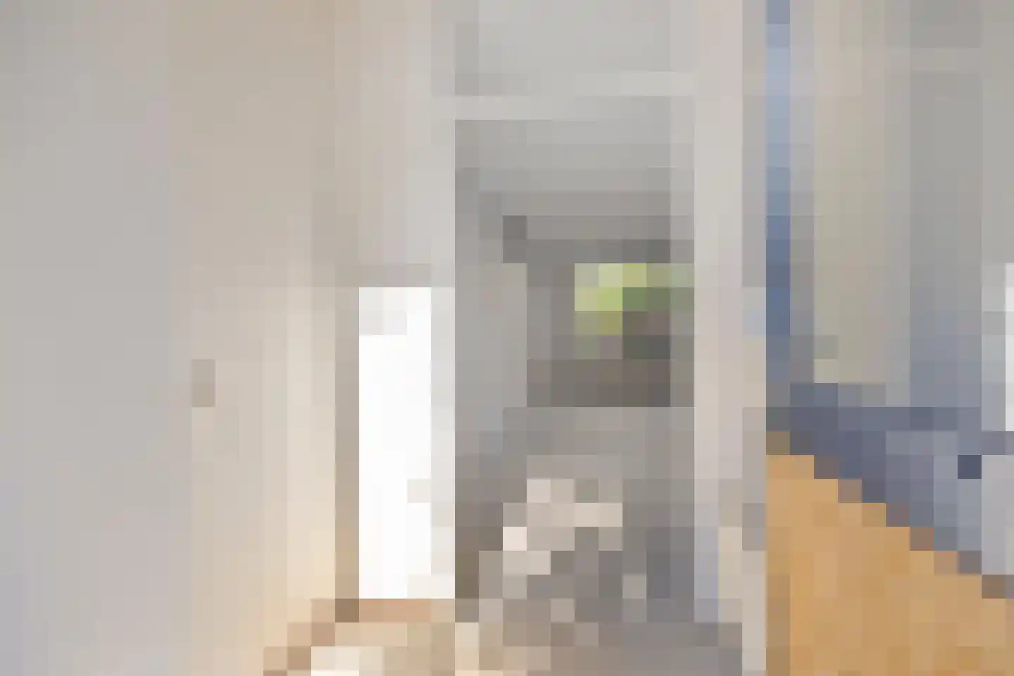 De Bunder 9 Dronten thumbnail 5