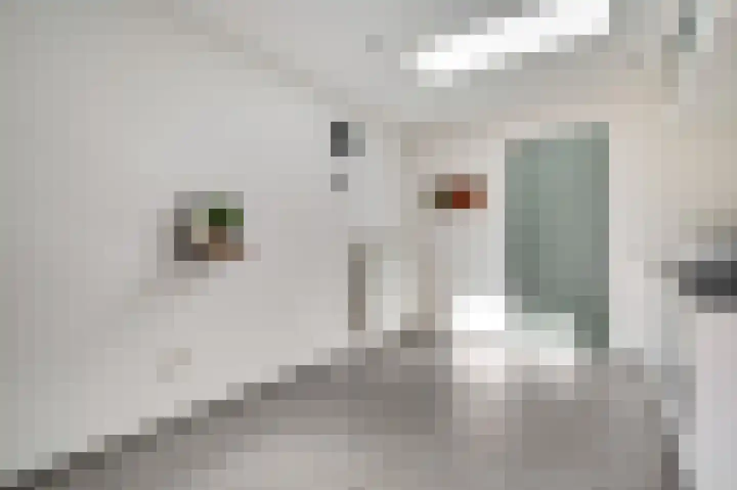 De Bunderhoevestraat 10 Margraten thumbnail 14