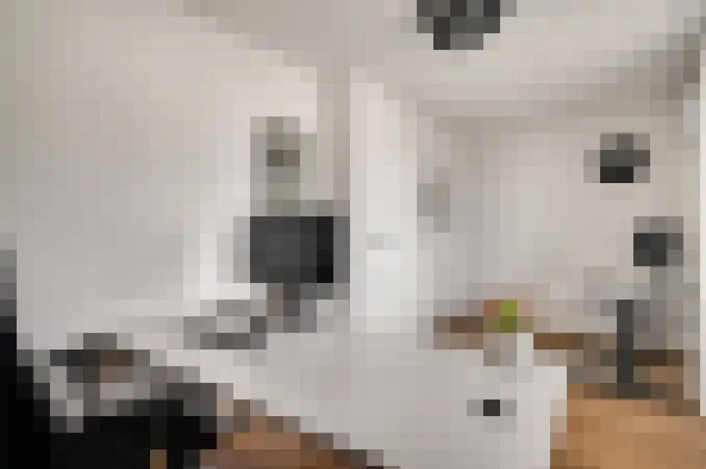 De Bunderhoevestraat 10 Margraten thumbnail 21