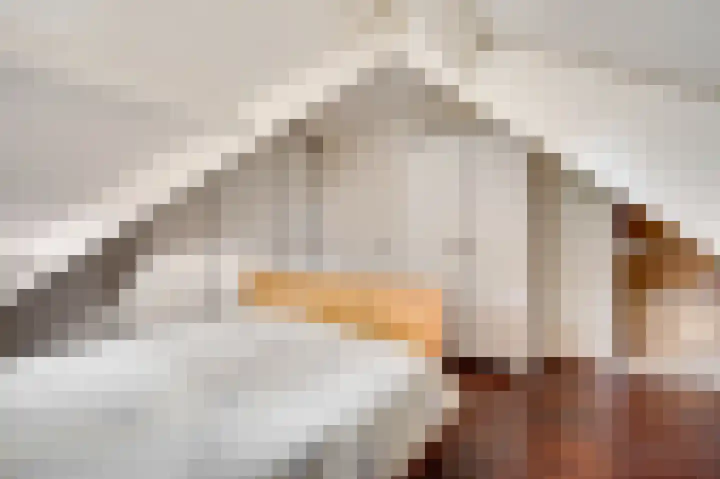 De Bunderhoevestraat 10 Margraten thumbnail 26