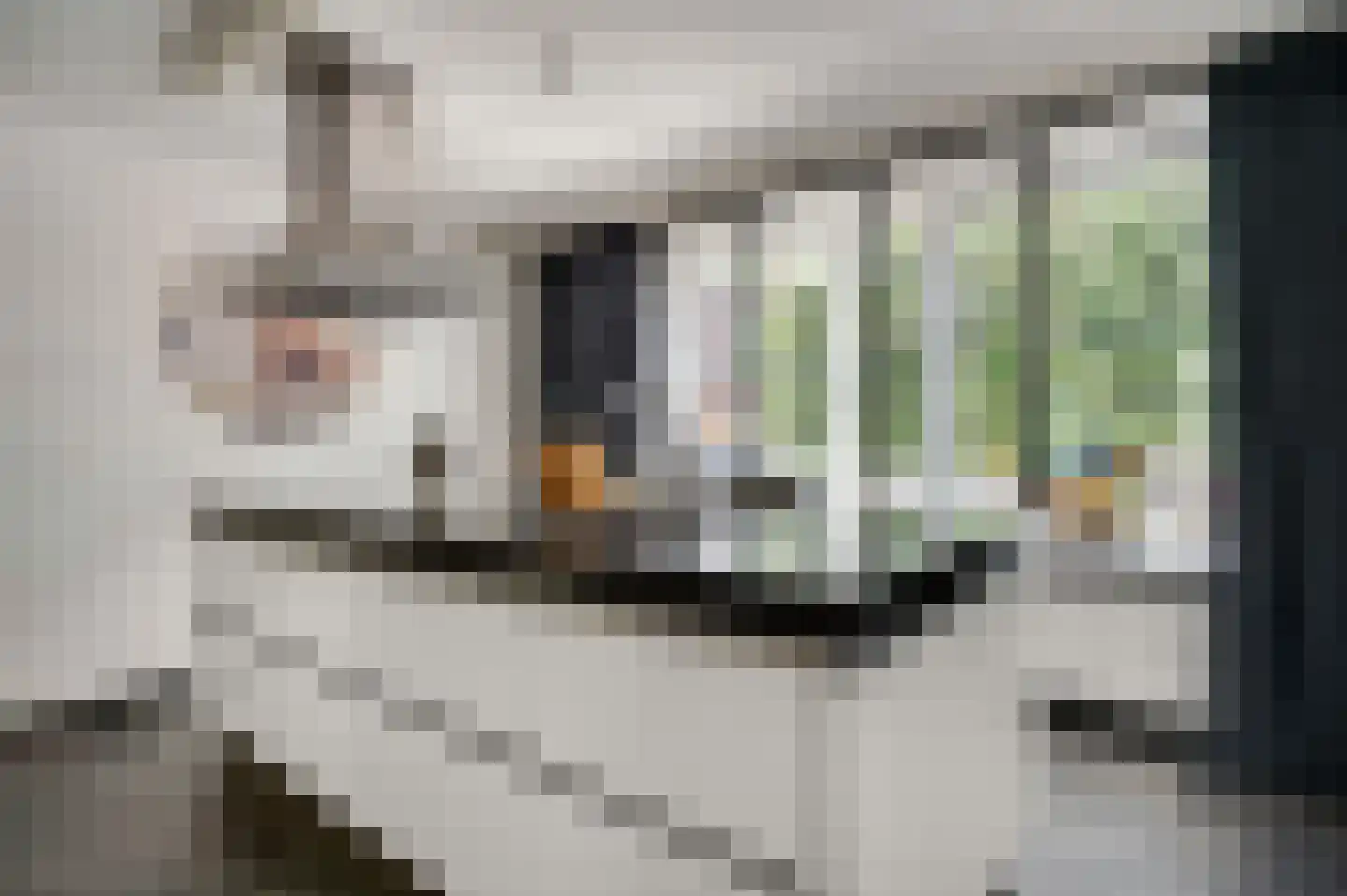 De Bunderhoevestraat 10 Margraten thumbnail 4
