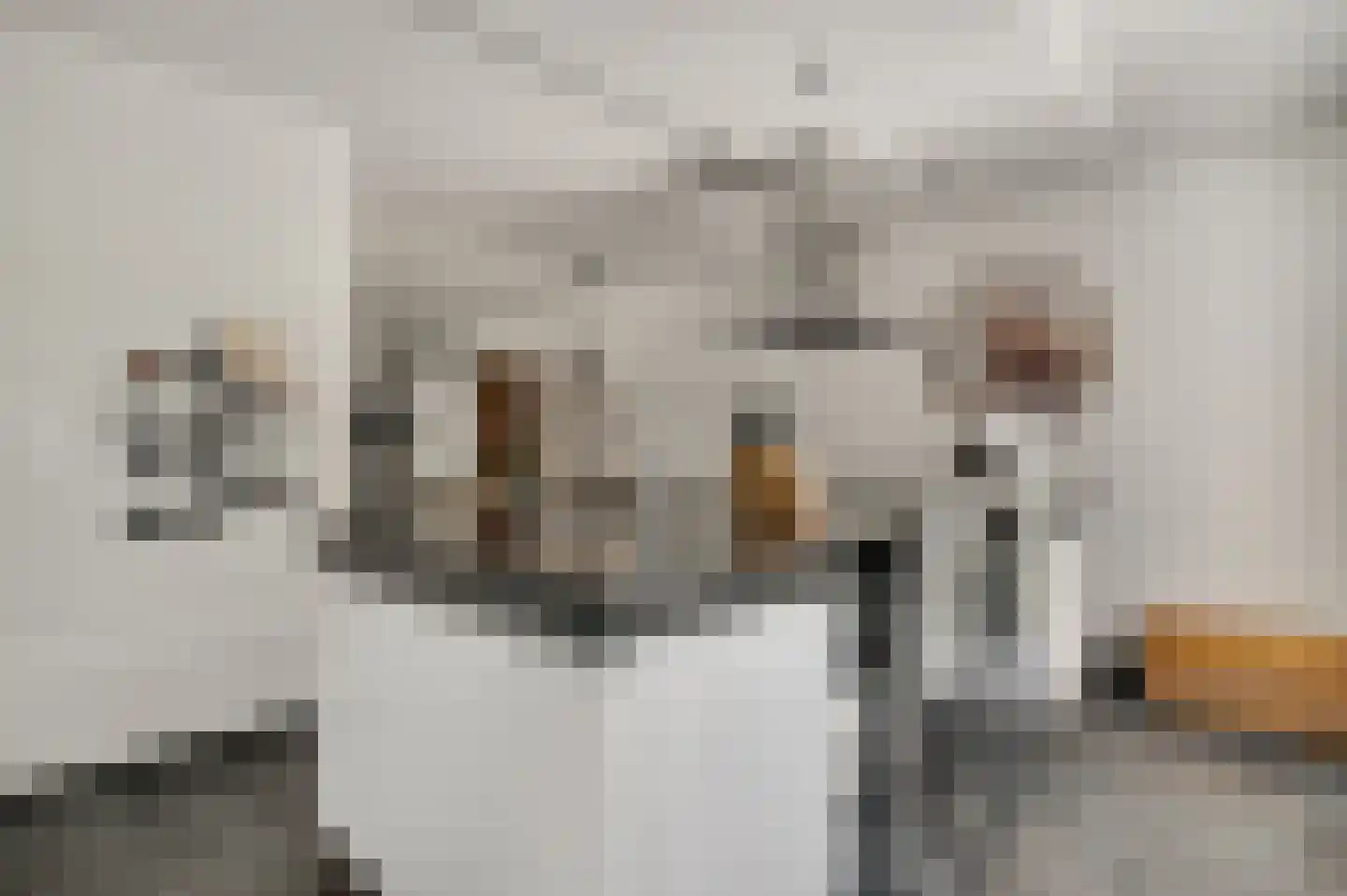 De Bunderhoevestraat 10 Margraten thumbnail 5