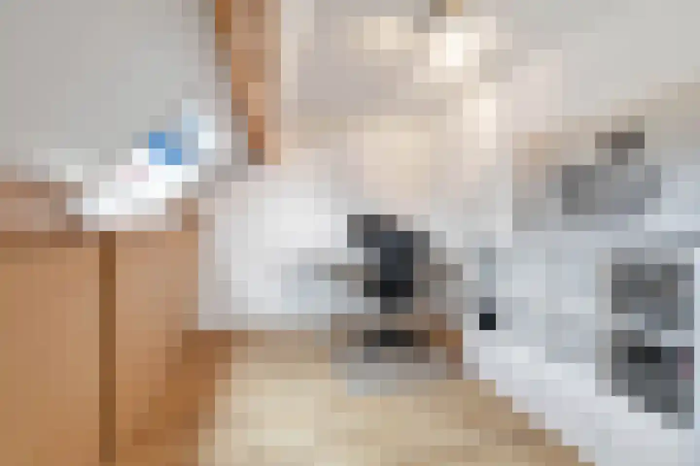 De Bunderhoevestraat 28 Margraten thumbnail 22