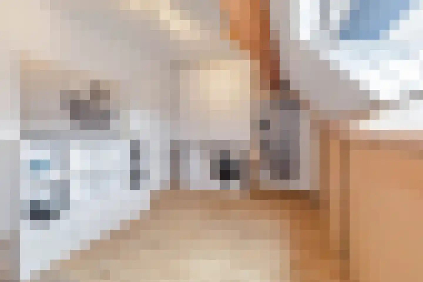 De Bunderhoevestraat 28 Margraten thumbnail 23