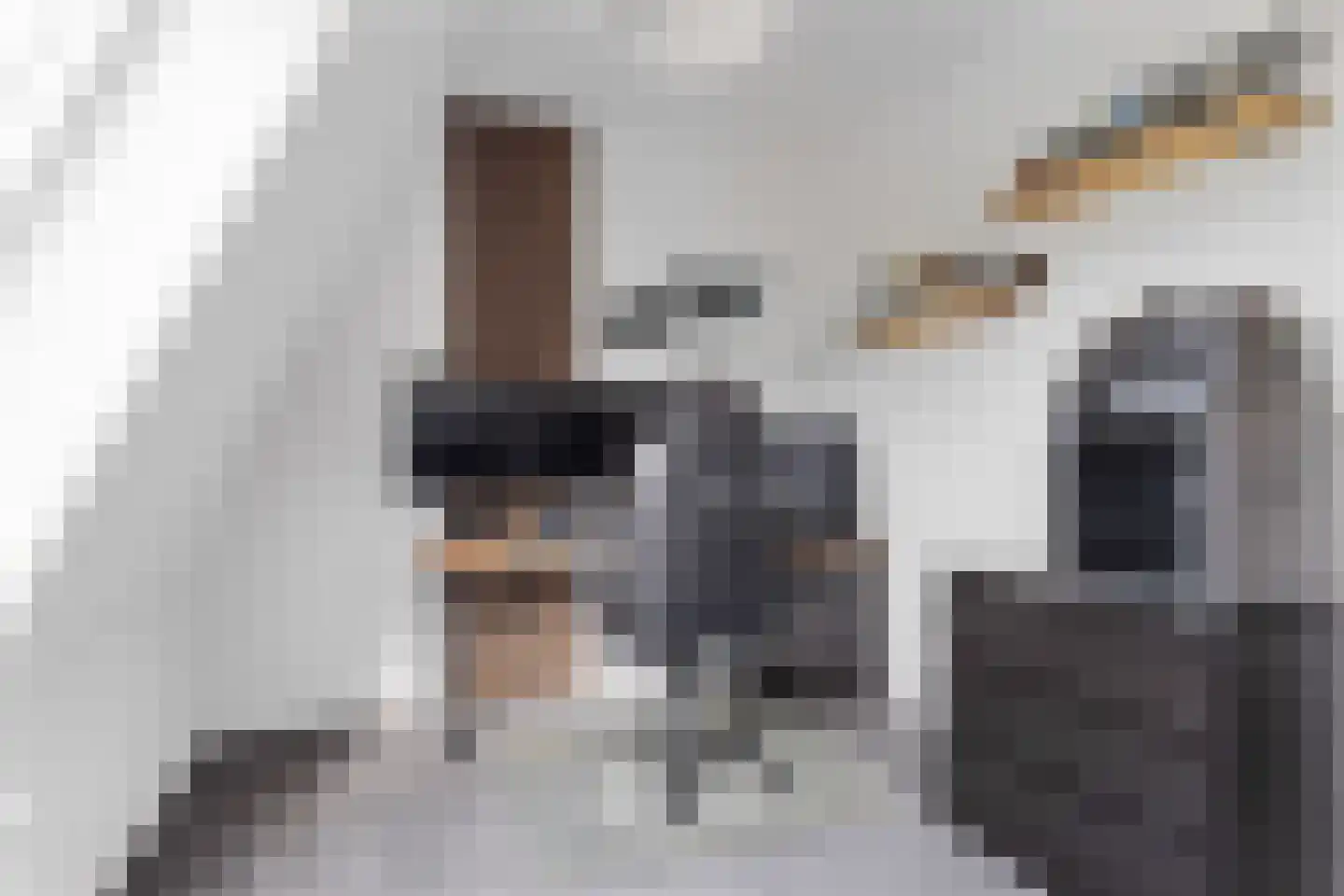 De Bunders 13 Bolsward thumbnail 17