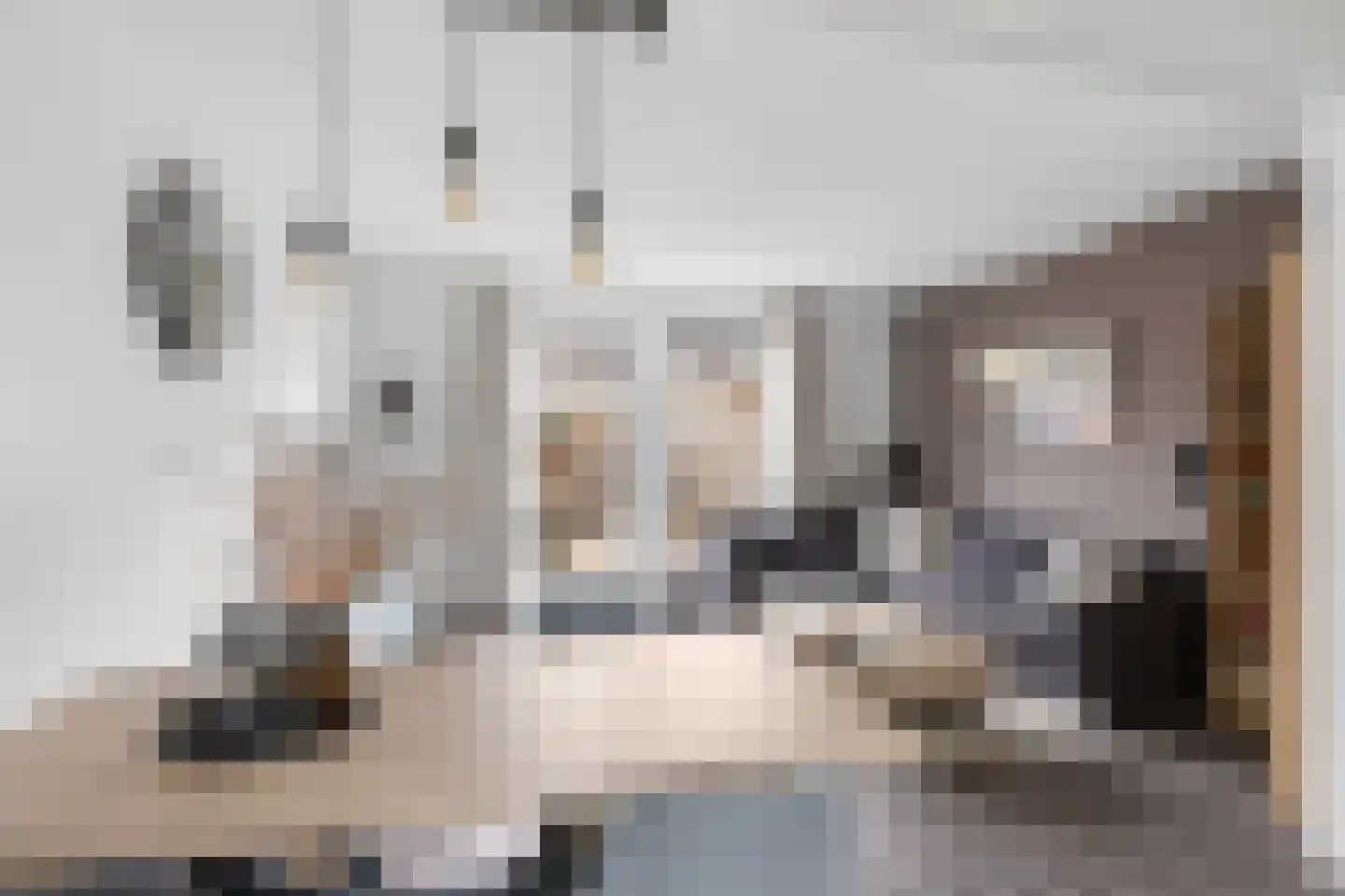 De Bunders 13 Bolsward thumbnail 8